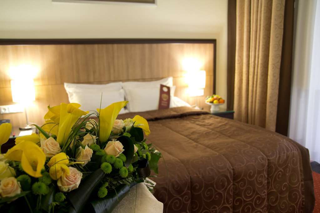 Park-Hotel Kidev Chubynske Rum bild